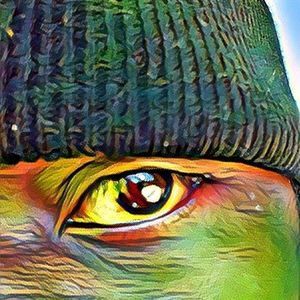 Meet your Posher, Earnest